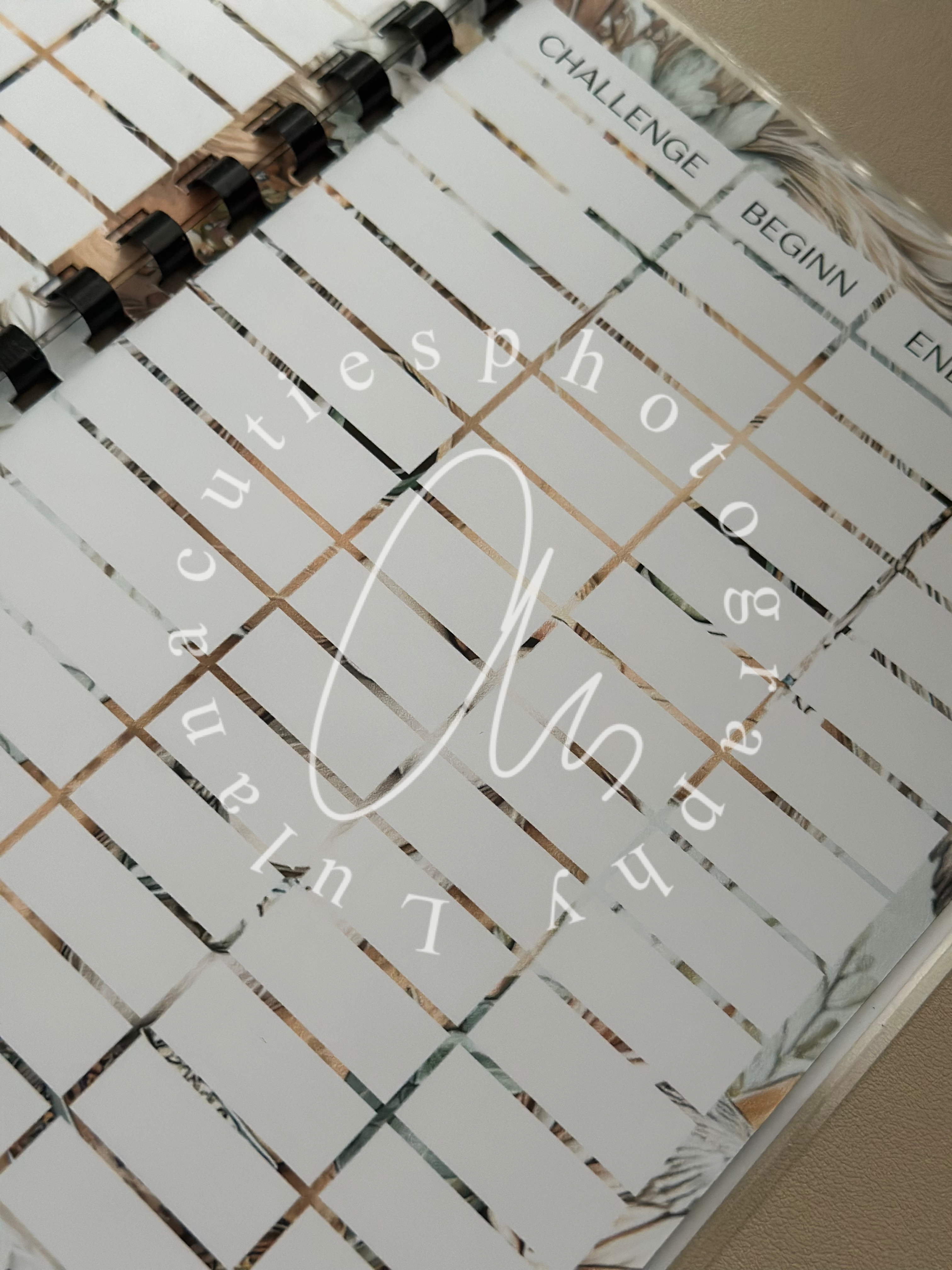 Abgeschlossene Challenges Heft Löwe