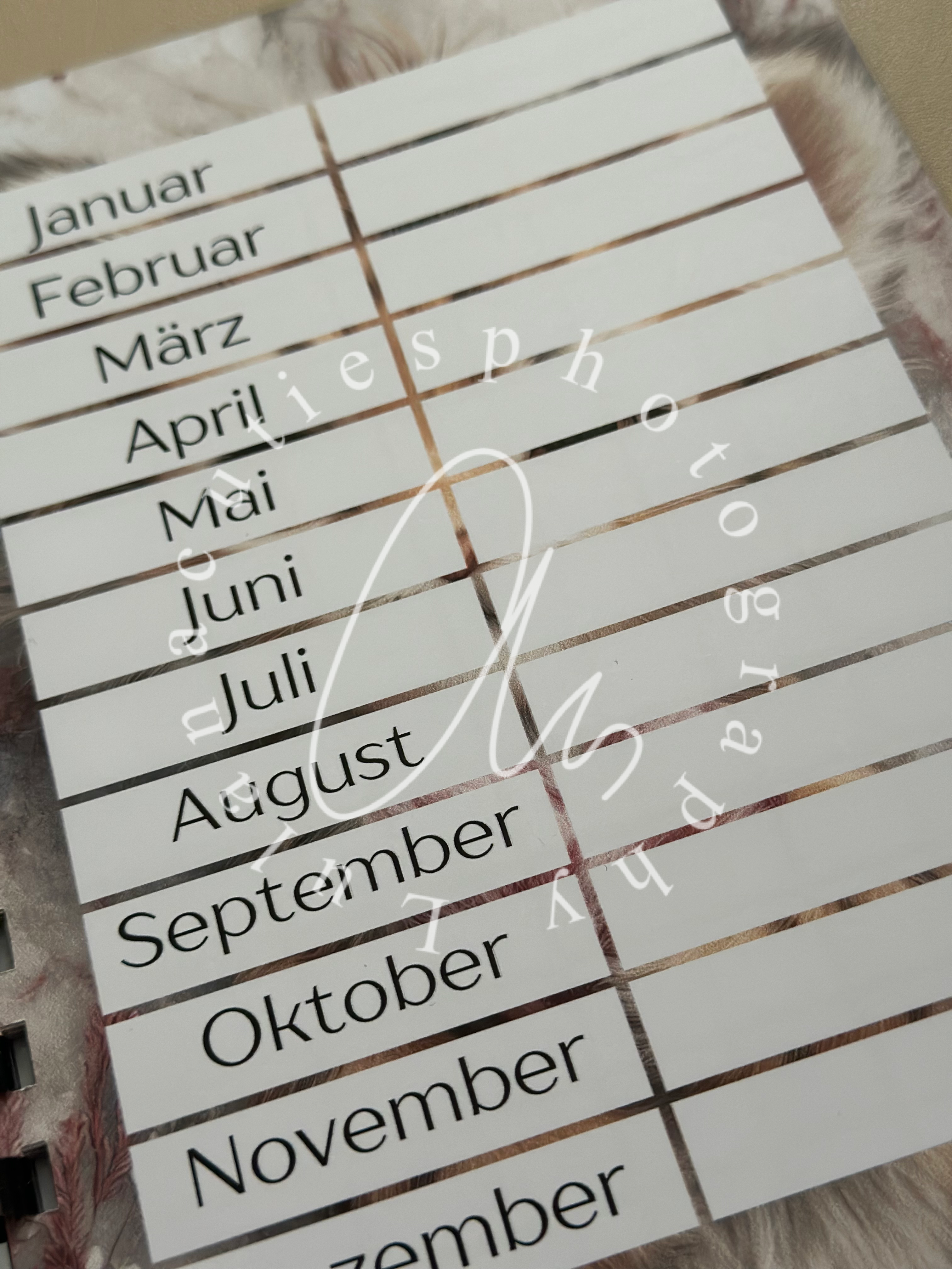 Abgeschlossene Challenges Heft Löwe